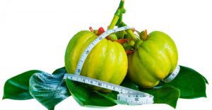 Garcinia Cambogia